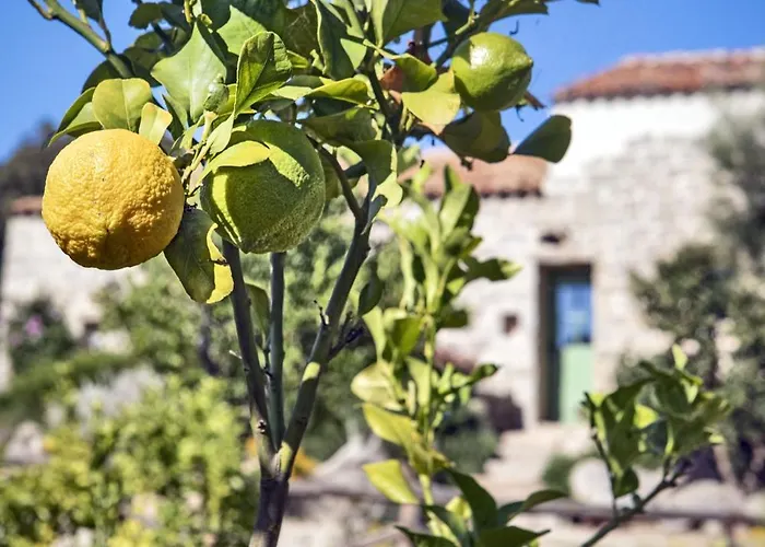 Gallicantu Stazzo Retreat Hotel