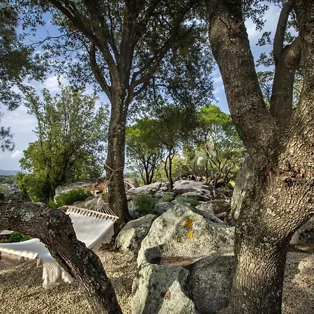 Gallicantu Stazzo Retreat Luogosanto