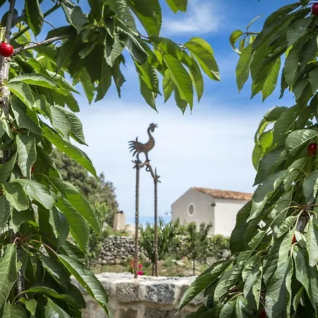 Gallicantu Stazzo Retreat Hotel Luogosanto