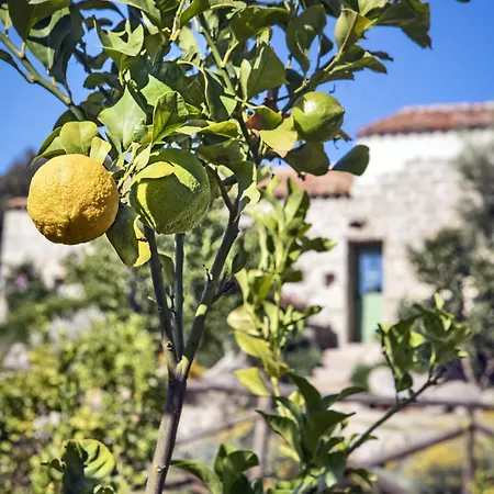 Gallicantu Stazzo Retreat Hotel