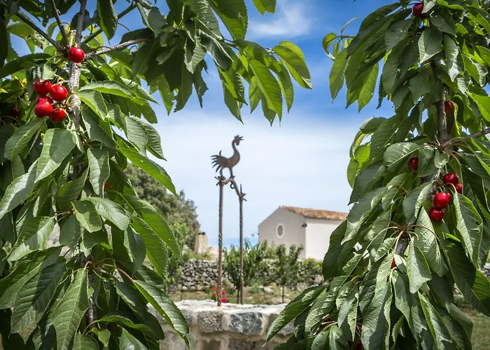 Gallicantu Stazzo Retreat Szálloda 4*